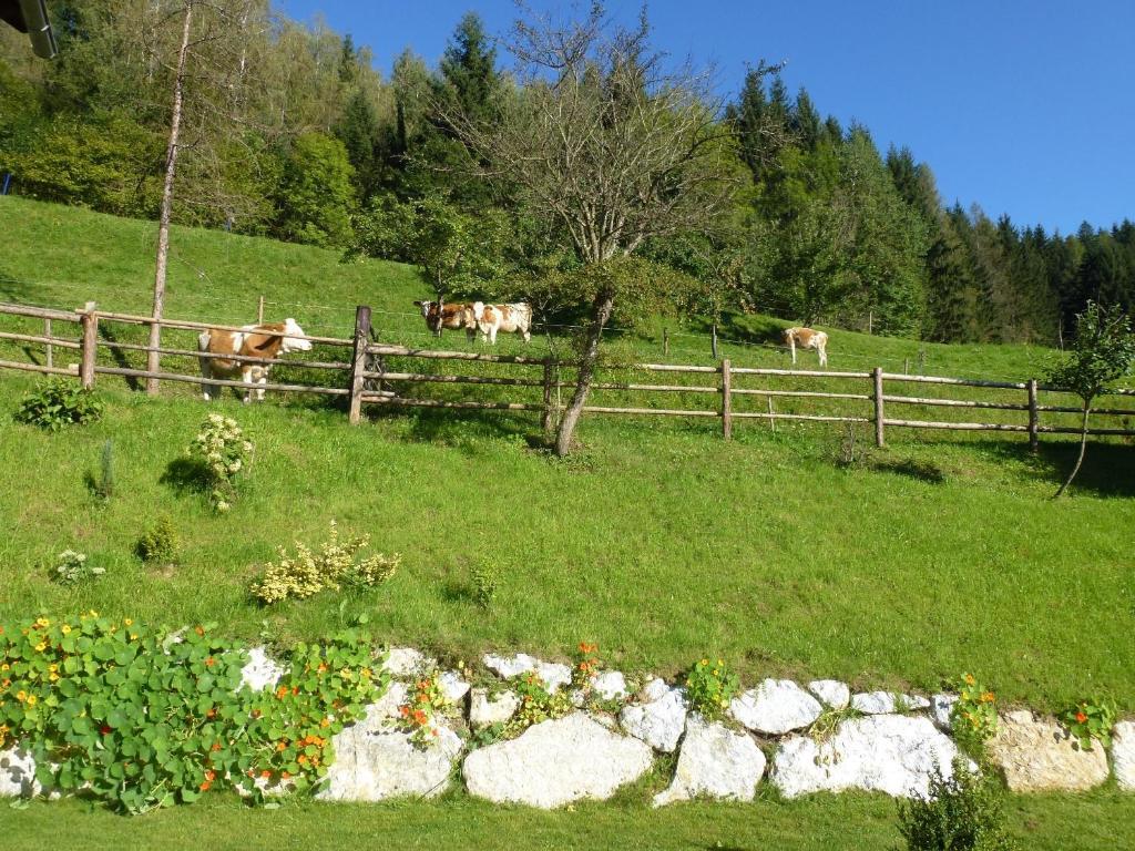 Pension Ehrenfried - Hotel Garni Kindberg Kültér fotó